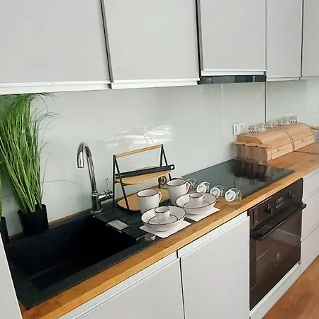 Miodowy Z Balkonem, Hustawka, Garazem I Faktura Apartment